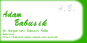 adam babusik business card